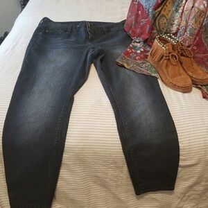 Torrid Blue Jeans
